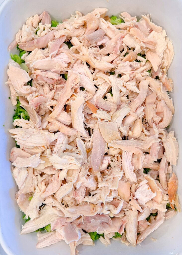 Casserole topped with shredded chicken.