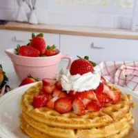 Stack of three Vanilla Waffles topped with fresh Strawberries and whipped cream and a small bowl of strawberries behind.