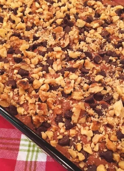 Chocolate Walnut Cake before before cooking