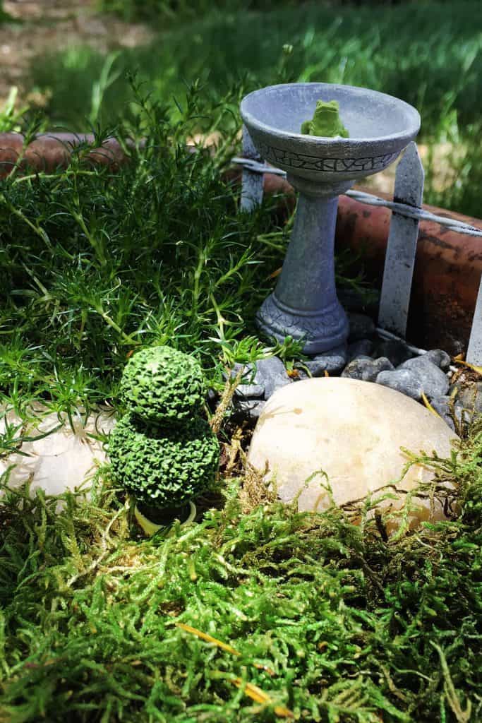 Fairy Garden Frog Bird Bath