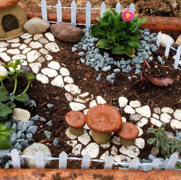 Fairy Garden Set-up close up