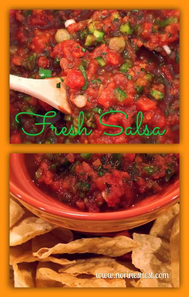 Fresh Homemade Salsa Recipe at Norine's Nest.com