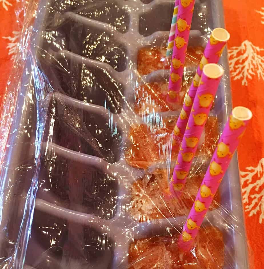 Baby Pops in Ice trays Norine's Nest