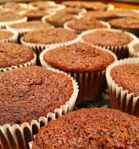 Chocolate Cupcakes