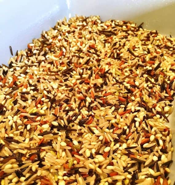 Wild Rice being rinsed for Minnesota Casserole.