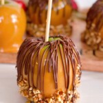 Chocolate and nut dipped caramel apple up close.