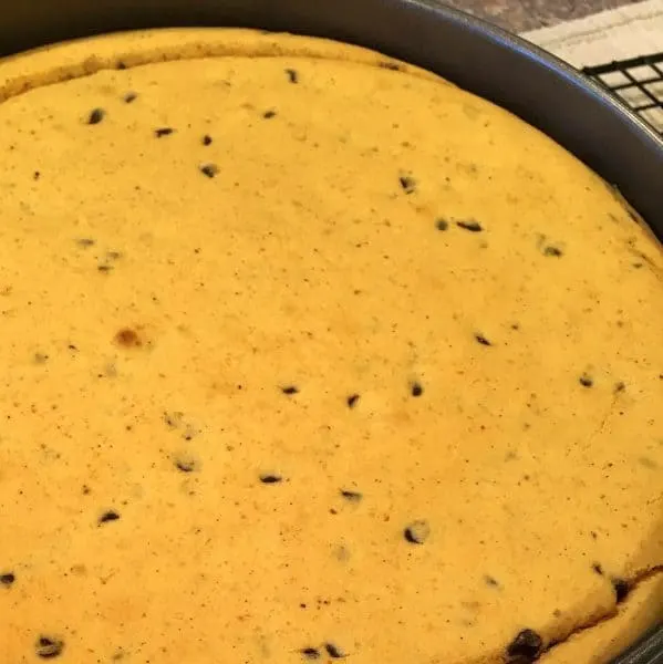 Pumpkin Chocolate Chip Cheesecake