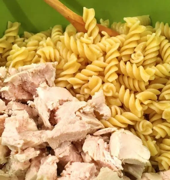 Chopped chicken, cooked noodles in a bowl for casserole prep