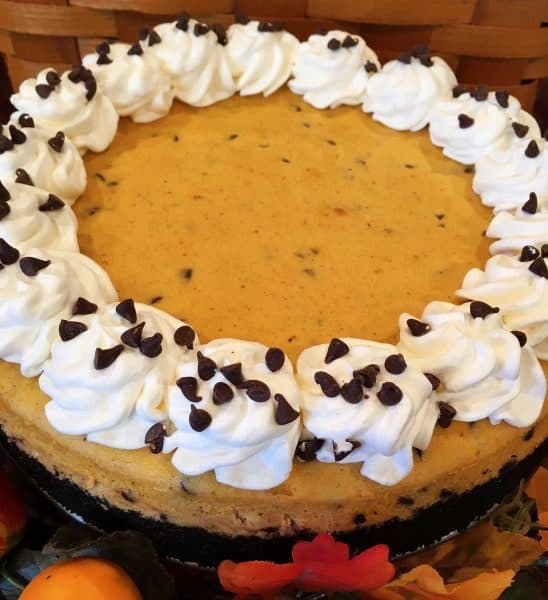 Pumpkin Chocolate Chip Cheesecake