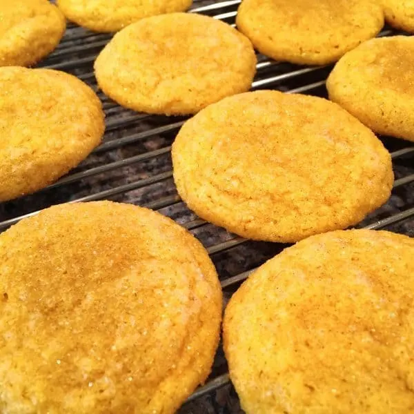 pumpkin-sugar-cookies-6