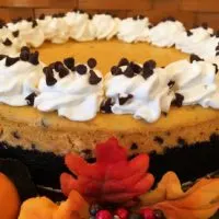 Cheese cake made with pumpkin and chocolate chips and whip cream