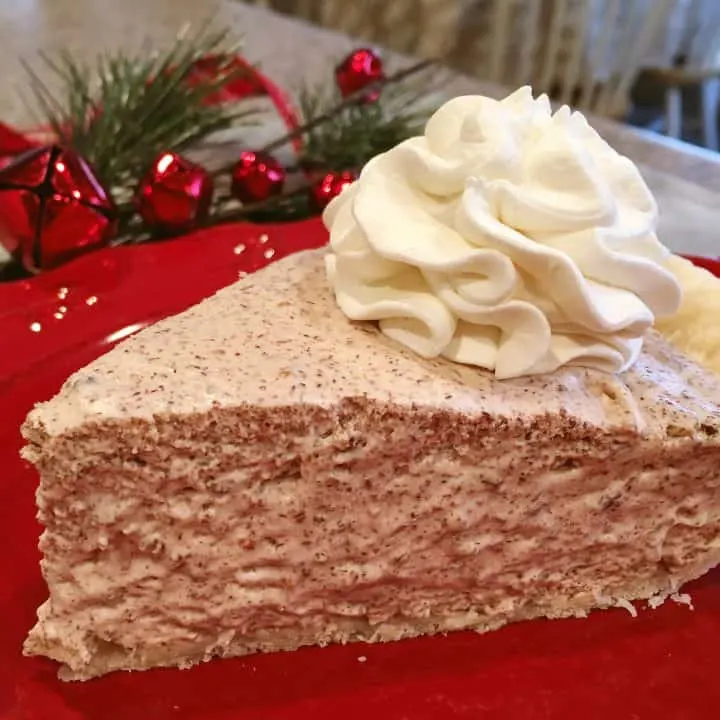 Slice of Chocolate Chiffon Pie on red dessert plate.