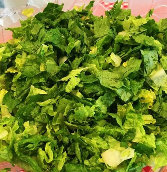 chopped and cleaned lettuce for salad in large bowl