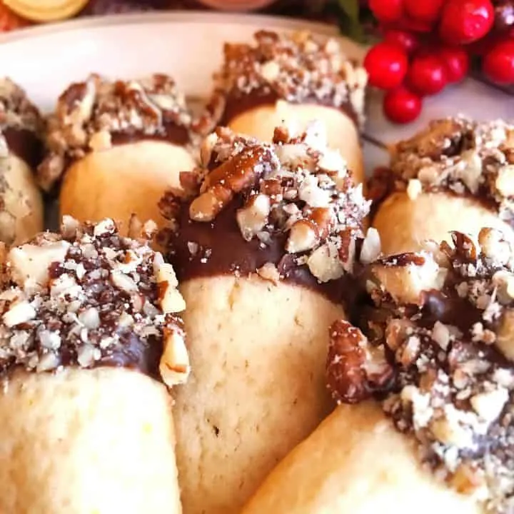 Chocolate Dipped Orange Logs on a plate