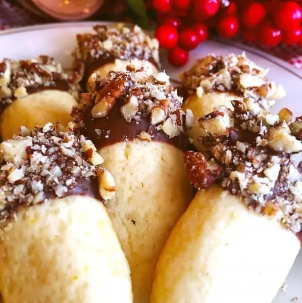 Orange Chocolate Logs with Pecans