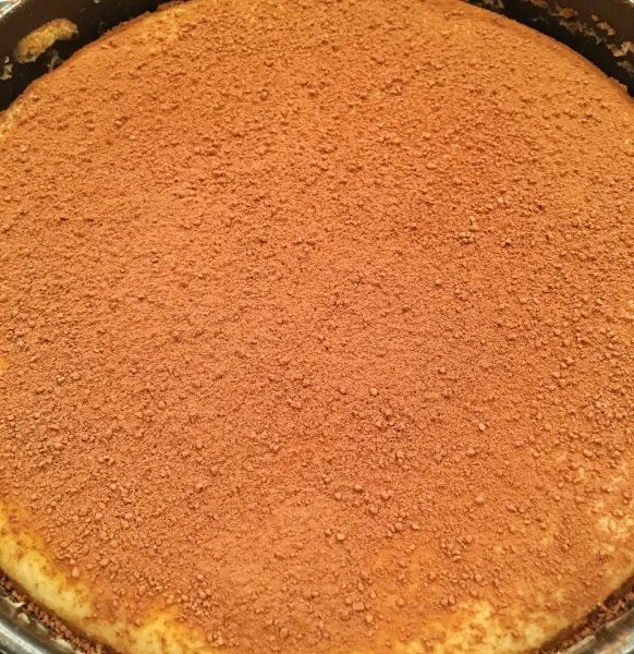 tiramisu-cheesecake sprinkled with cocoa