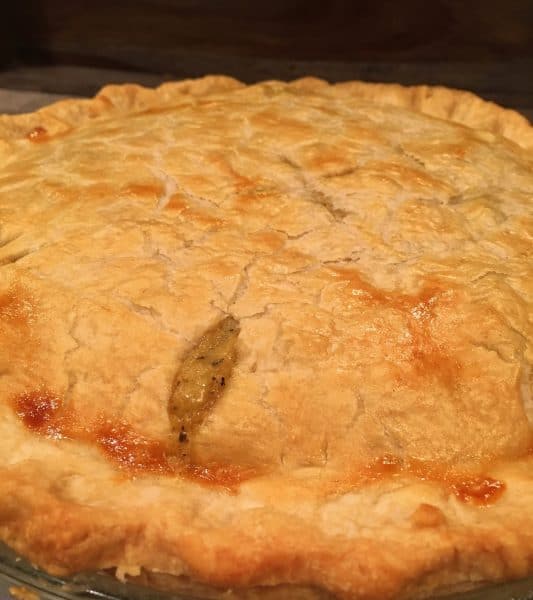 Baked chicken pot pie ready to serve