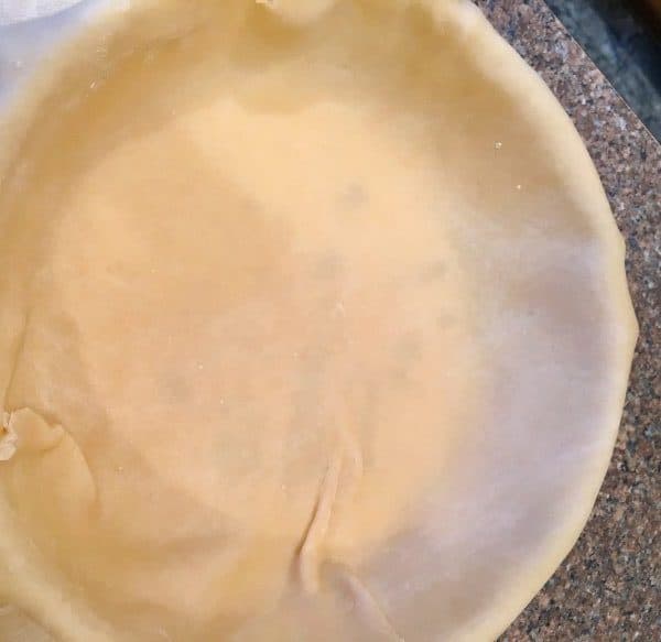 Homemade pie crust in pie plate. Pie bottom.
