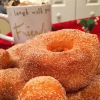 Fresh homemade donuts rolled in sugar and cinnamon