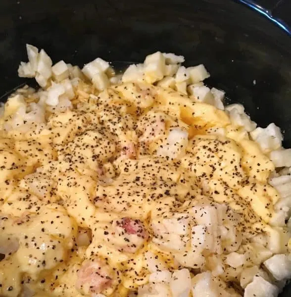 Adding spices and liquids to slow cooker potato soup