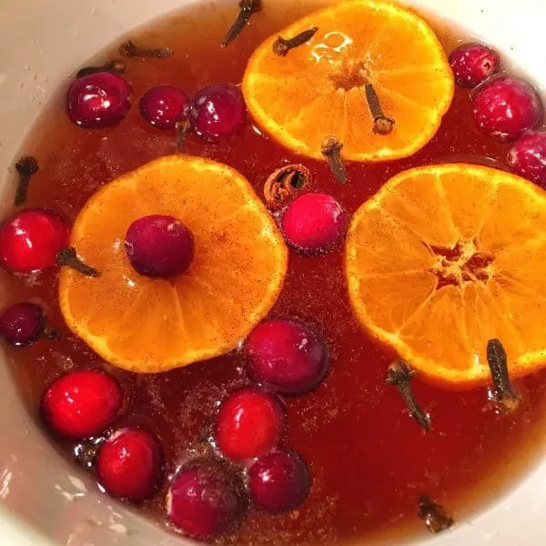 Slow Cooker full of cider, cranberries, cloves, and orange slices