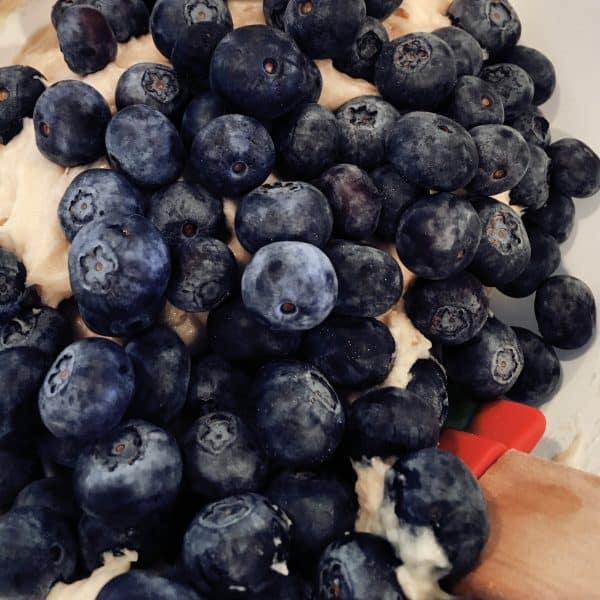 Fresh blueberries for blueberry muffins