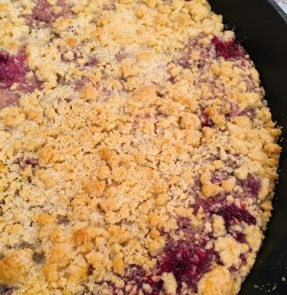 baked tripe berry dessert in skillet