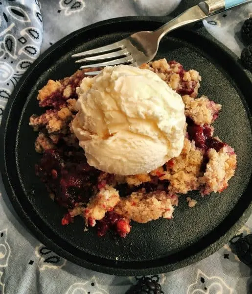 Triple Berry Crumb with Vanilla Ice Cream