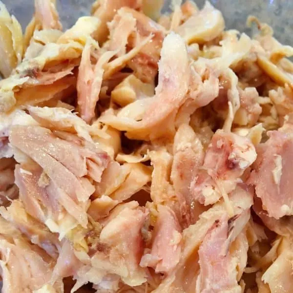 Shredded chicken for Enchiladas