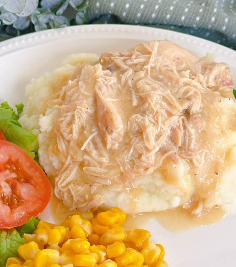 Slow Cooker Chicken and Gravy with mashed potatoes on a dinner plate.