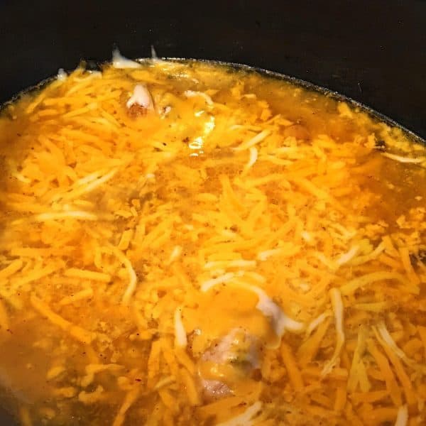chicken covered with cheese in slow cooker