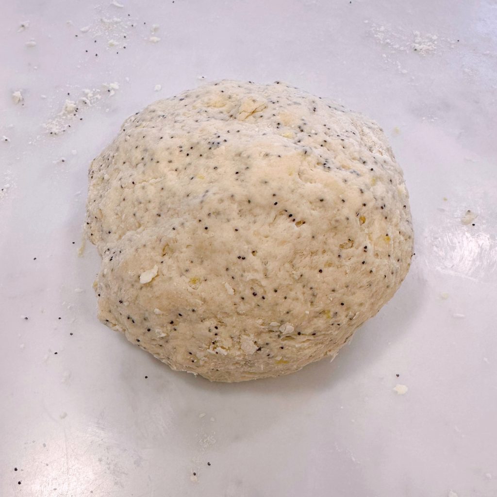 Lemon Poppy Seed Scone Dough combined into a disc after kneading.
