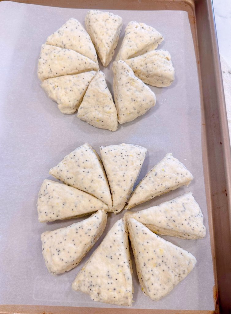 Lemon Poppy Seed dough discs on a parchment-lined baking sheet spread apart.