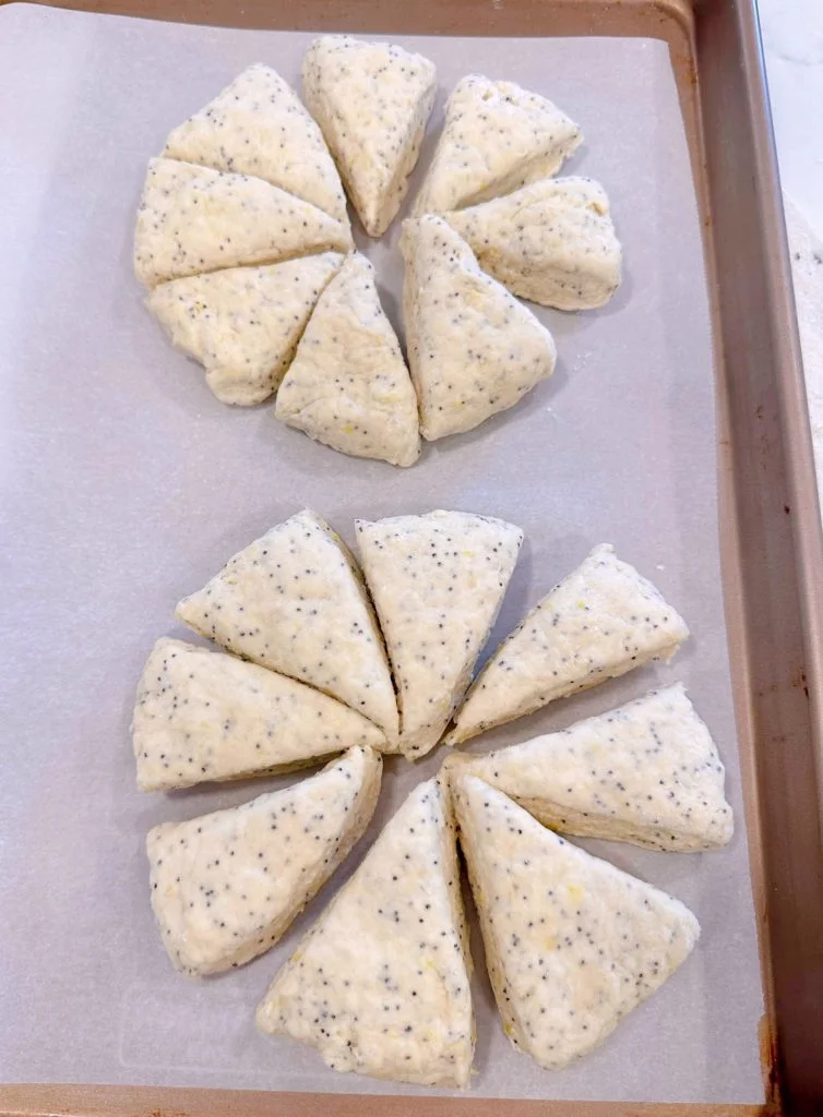 Lemon Poppy Seed dough discs on a parchment-lined baking sheet spread apart.