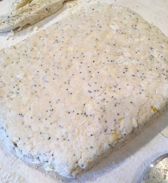 Lemon Poppy Seed scone dough on floured surface 