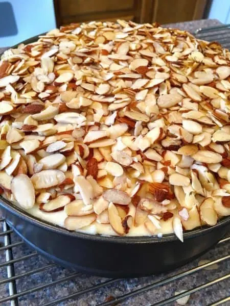 cheese cake topped off with loads of slivered almonds