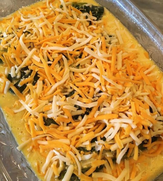 Adding egg mixture to stuffed peppers topped with cheese in a casserole dish