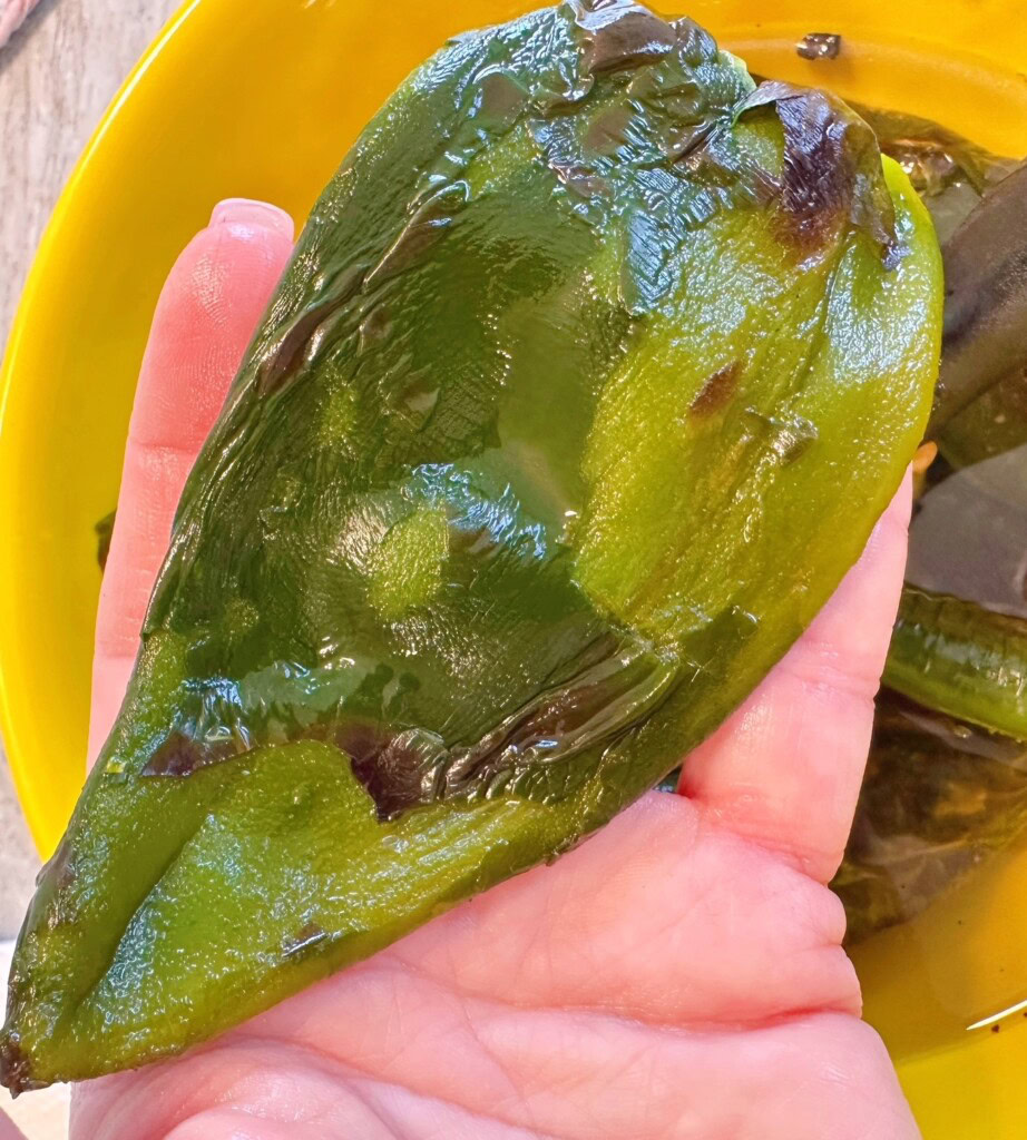 Poblano pepper peeled and being held in cooks hand.