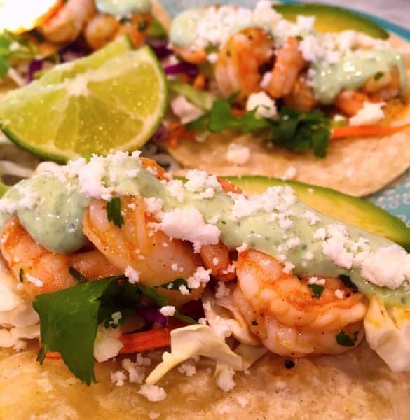 close up of shrimp tacos