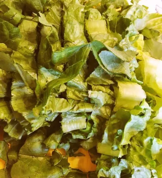 washed and torn romaine lettuce in a bowl
