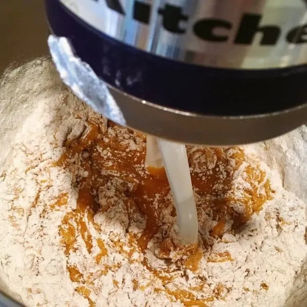 adding dry ingredients to wet in mixer