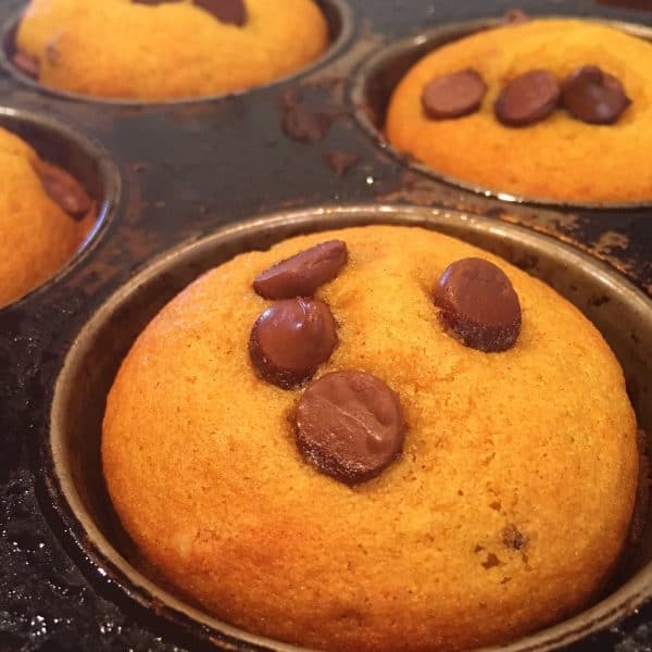 baked chocolate chip pumpkin muffins
