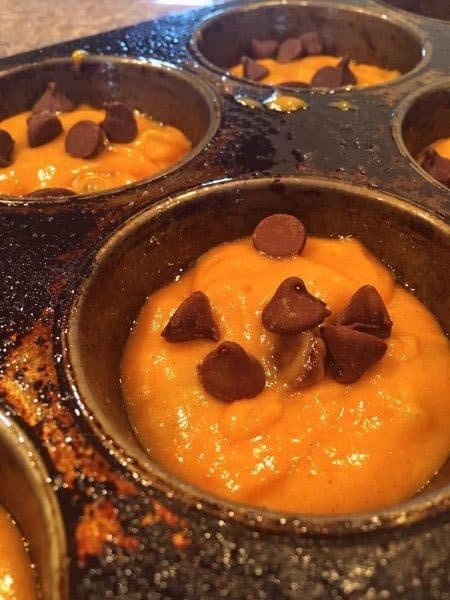 Pumpkin Chocolate chip batter in muffin tins