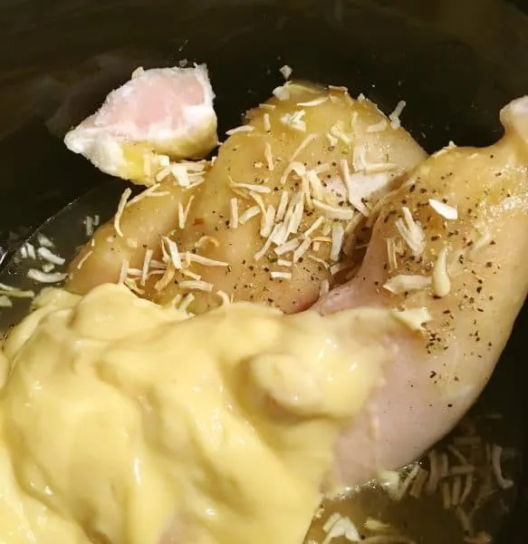 Chicken added to slow cooker ingredients