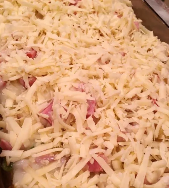grated Swiss cheese on top of left over layers