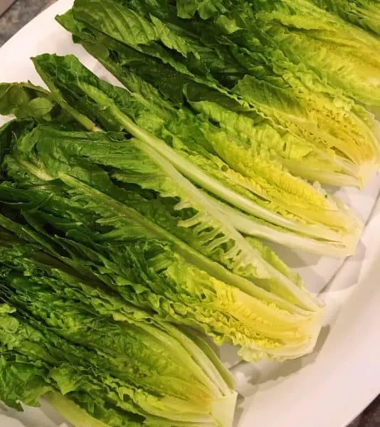 Romaine Lettuce small heads cut in half 