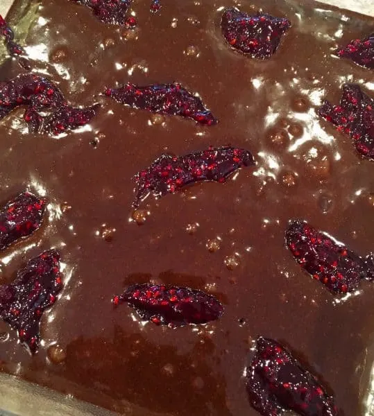 Dark brownie batter with Raspberry filling dabs