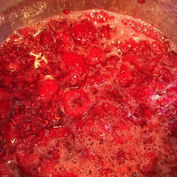 Raspberries, water, and sugar in sauce pan for raspberry syrup ice cream topping.
