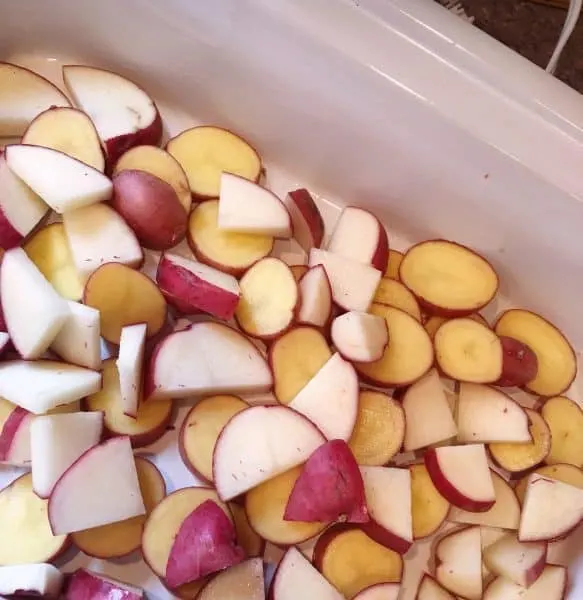 Cubed red potatoes in bottom of slow cooker casserole dish
