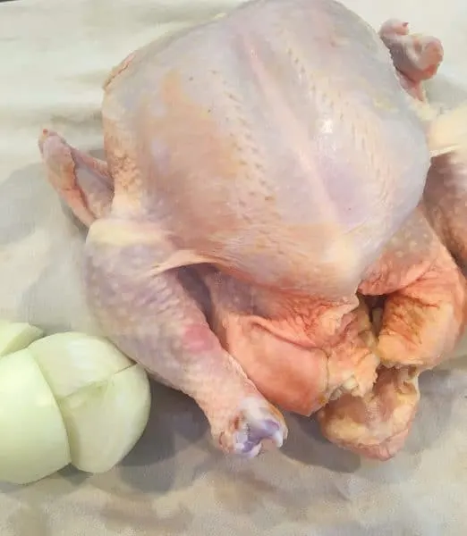 Whole chicken with cut up onions. 
